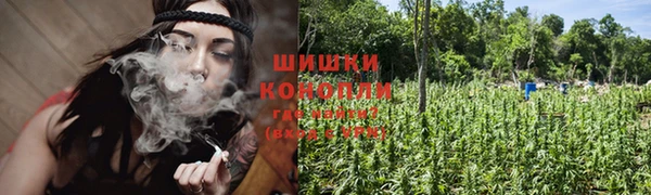 apvp Алзамай