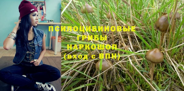 амфетамин Алексин