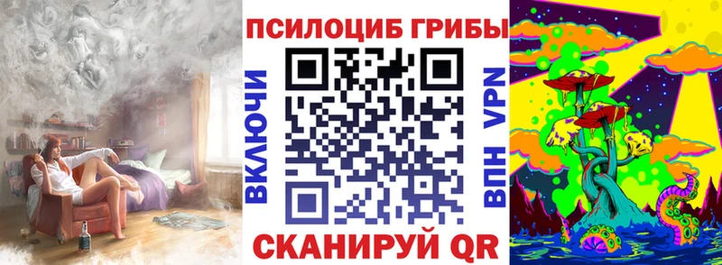 как найти наркотики  Кувшиново  Псилоцибиновые грибы ЛСД 